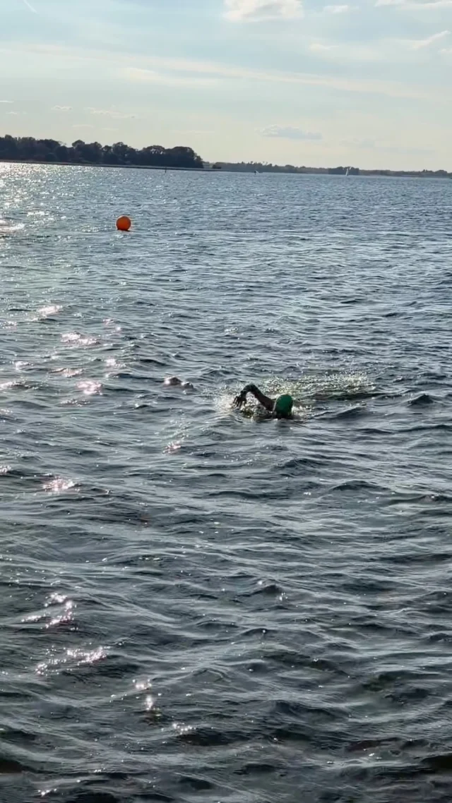-Shorten where you enter with your hands -Sight like an ostrich rather than 🐊! -Four beat kick ie Kick, Pause,123 Denmark 🇩🇰 #roskildefjord #toeinswim #openwaterswim