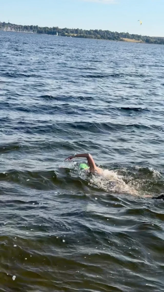 🇩🇰 Roskilde fjord is our last stop on the journey to the Swøm Danmark festival at Copenhagen. Warmish, salty and a nice chop! #toeinswim #openwaterswimming #swimcoaching